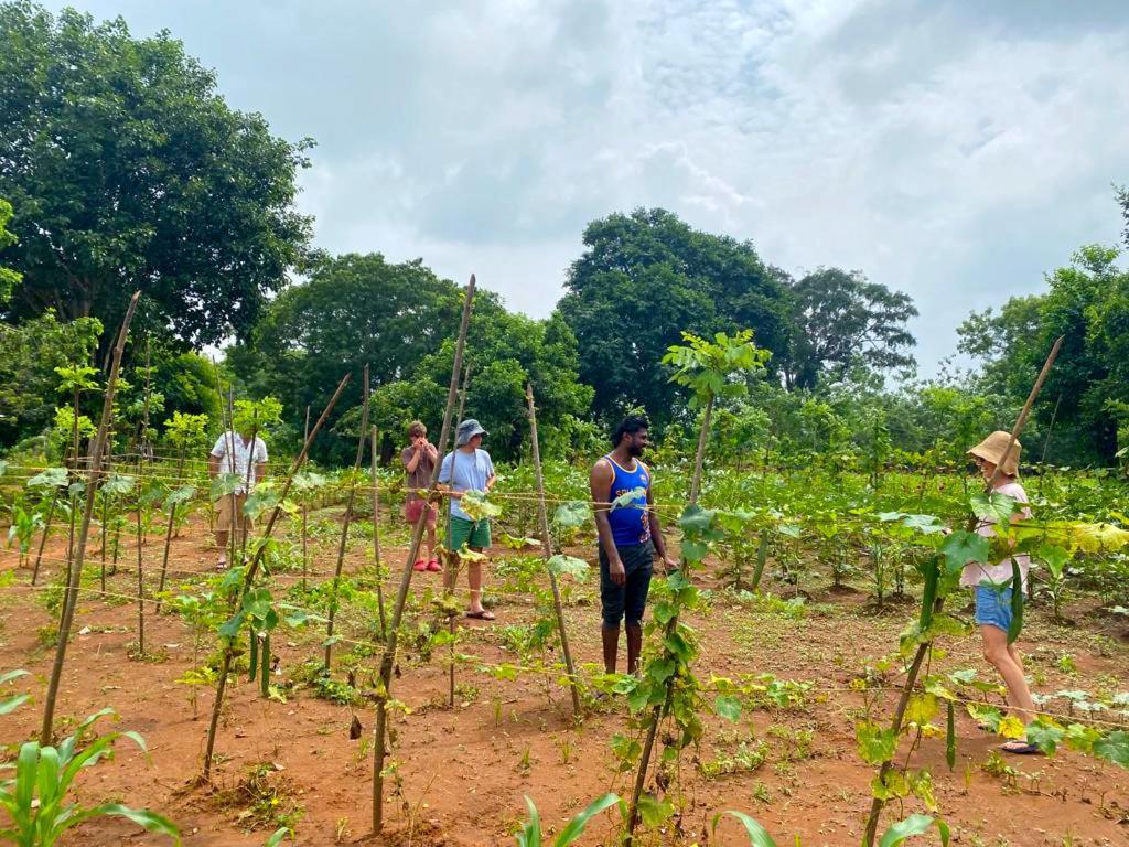 Moni Farm House Wilpattu Nochchiyagama Exterior foto